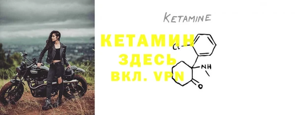 стаф Зерноград