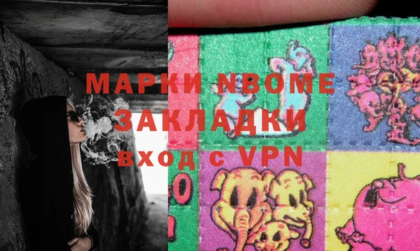 стаф Зерноград